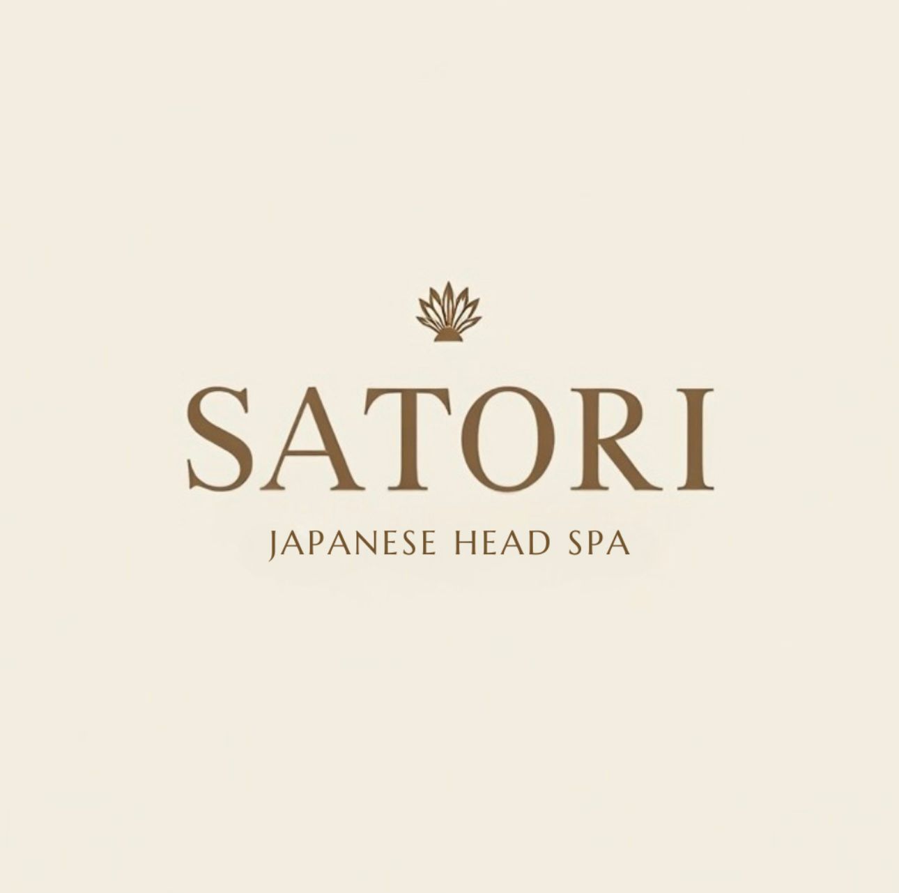 Satori Logo Background